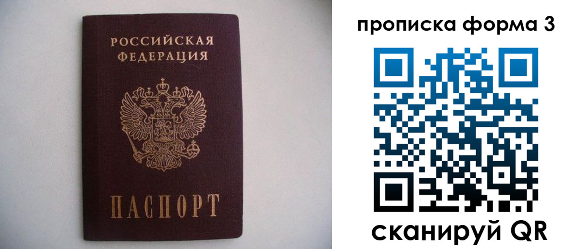 прописка в Николаевске-на-Амуре